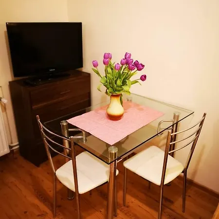 Apartament W Parku Zdrojowym Lejlighed